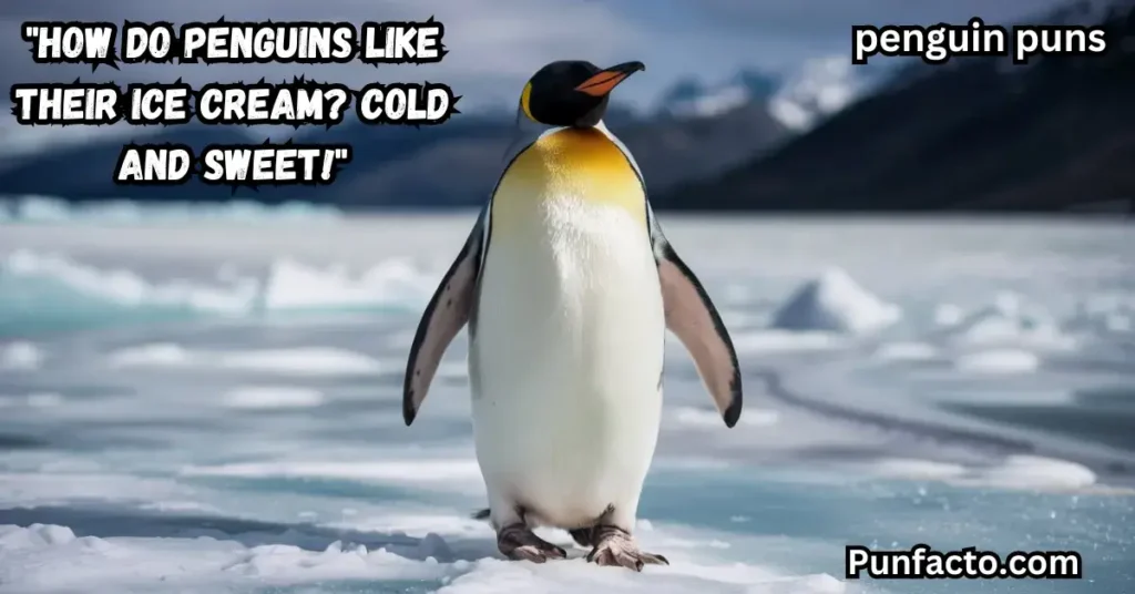 penguins-just-wanna-have-fun