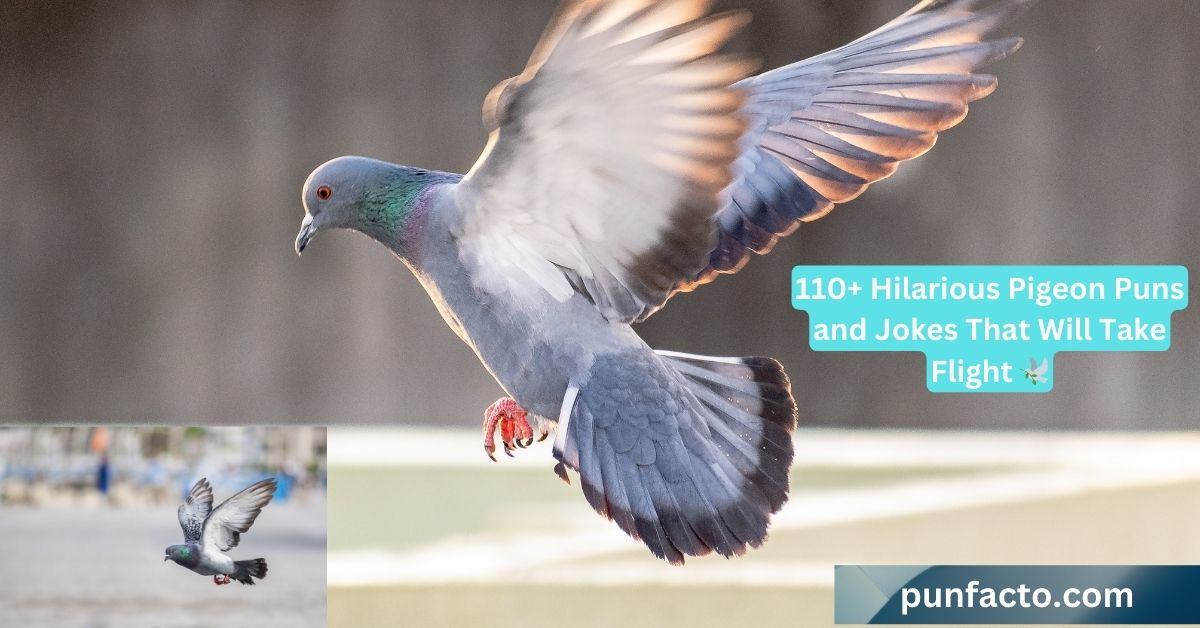 110+ Hilarious Pigeon Puns and Jokes That Will Take Flight