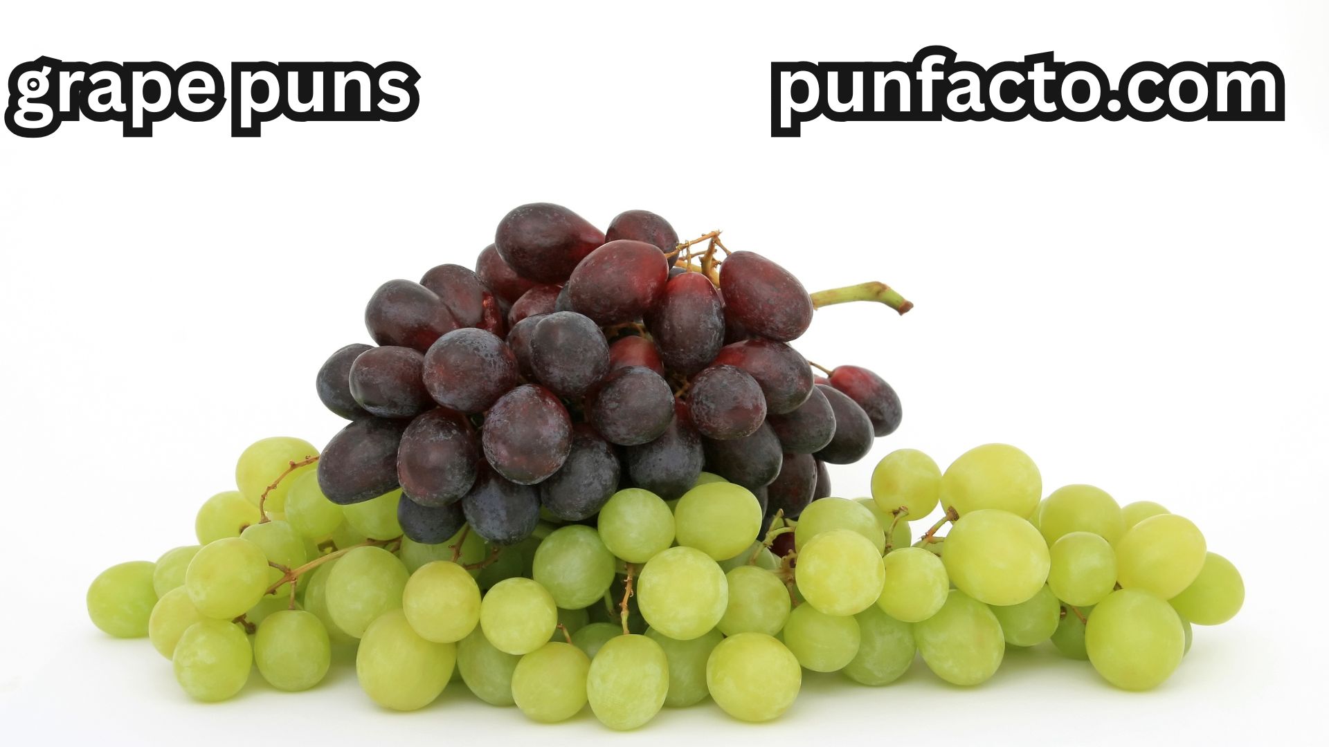 180 Hilarious Grape Puns That Will Make You Laugh Out Loud