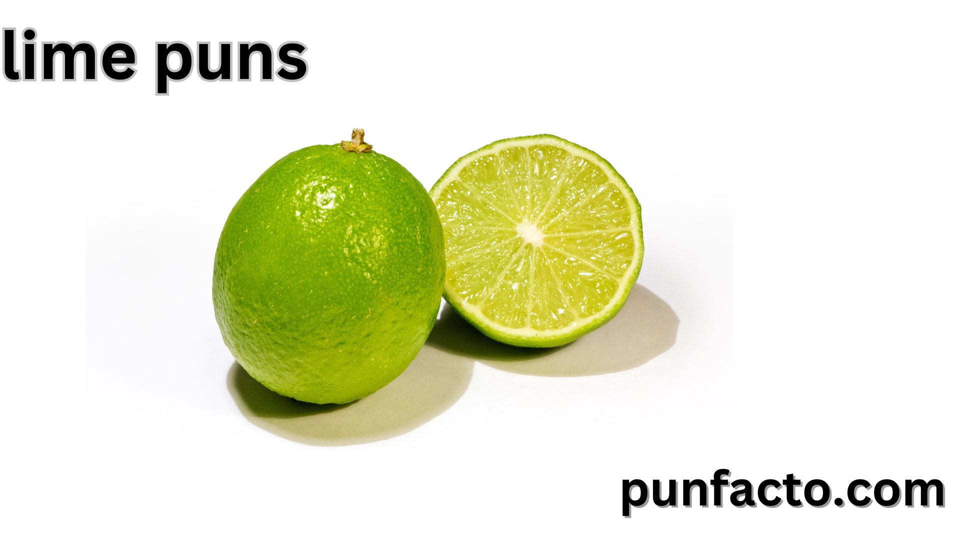 220 Hilarious Lime Puns and Jokes That Will Zest Up Your Day