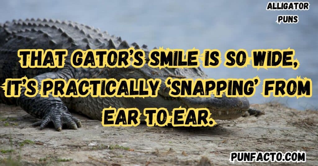 Alligator Attitude