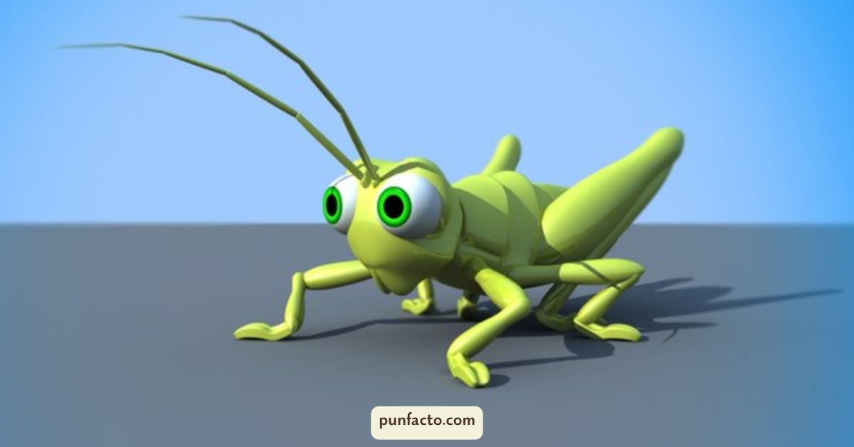 Grasshopper