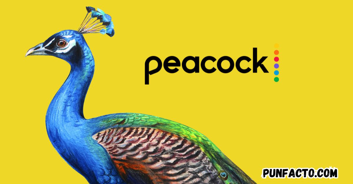 Hilarious Peacock Puns to Brighten Your Conversations