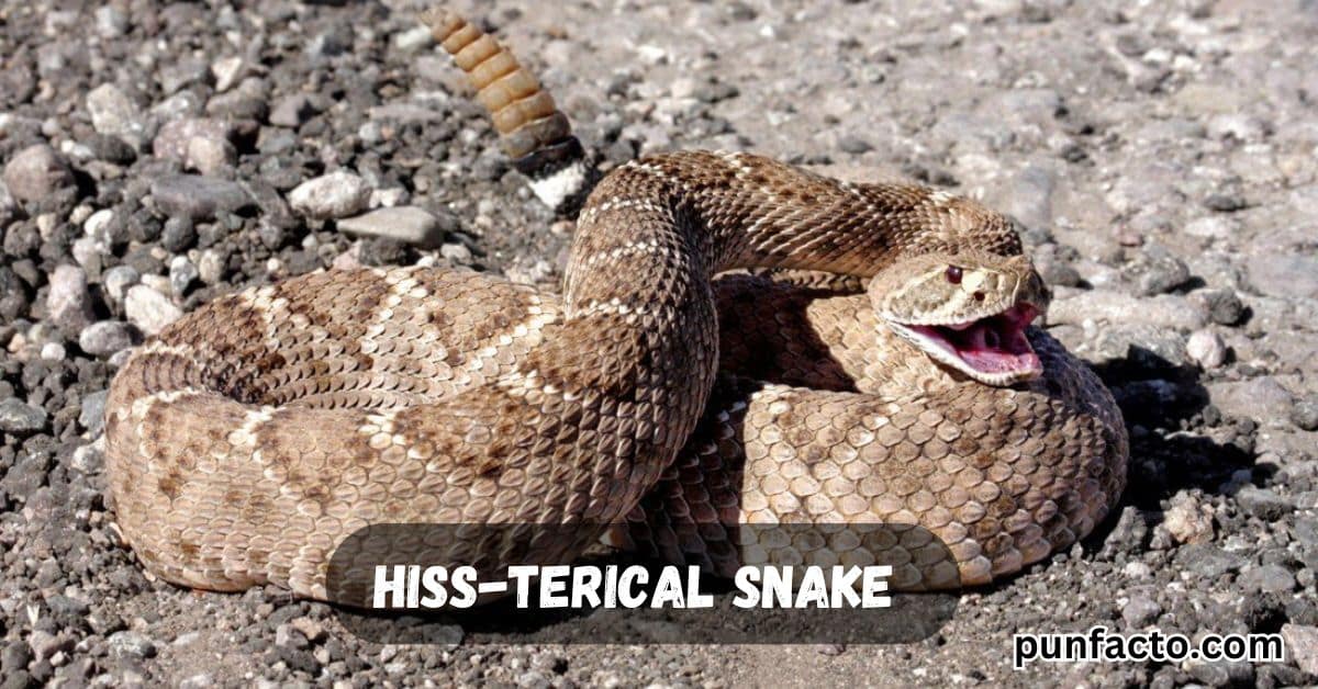 Hiss-terical Snake