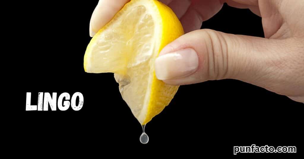 Lemon Humor